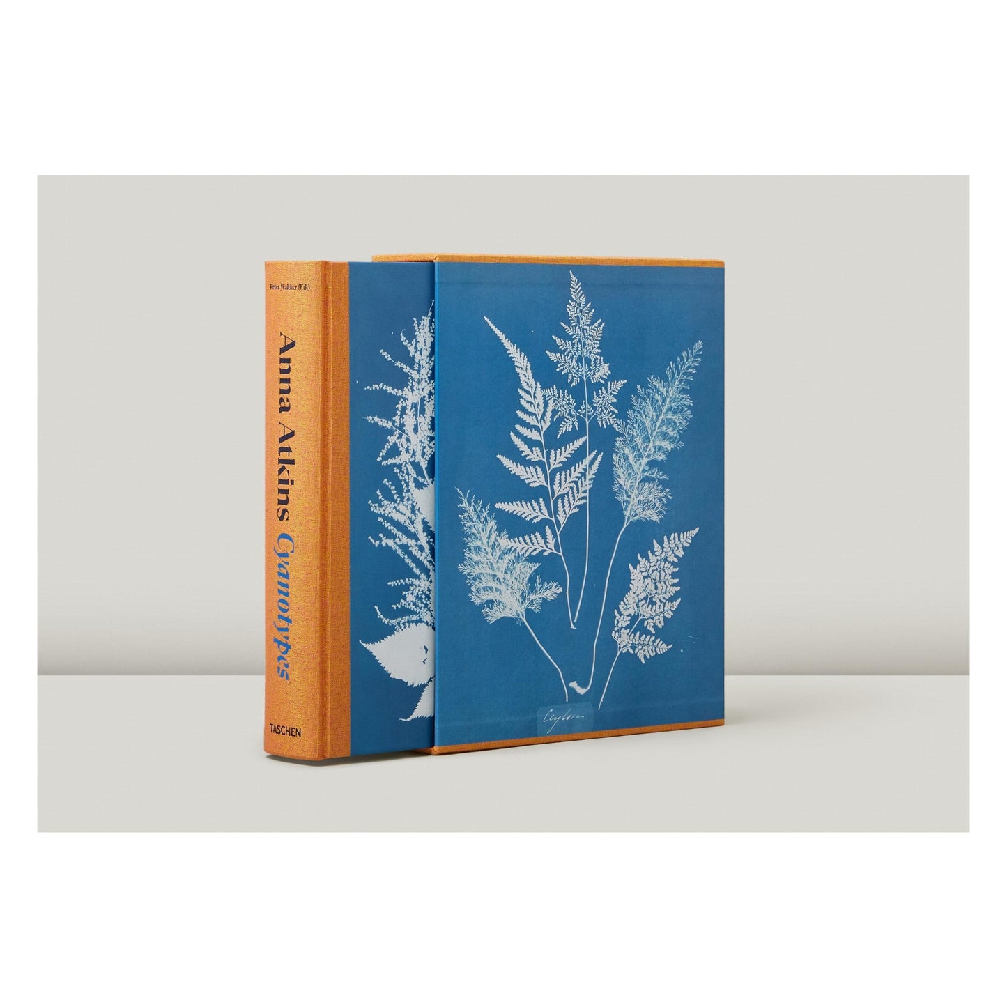 Anna Atkins. Cyanotypes (German, French, English) (FFE) Book