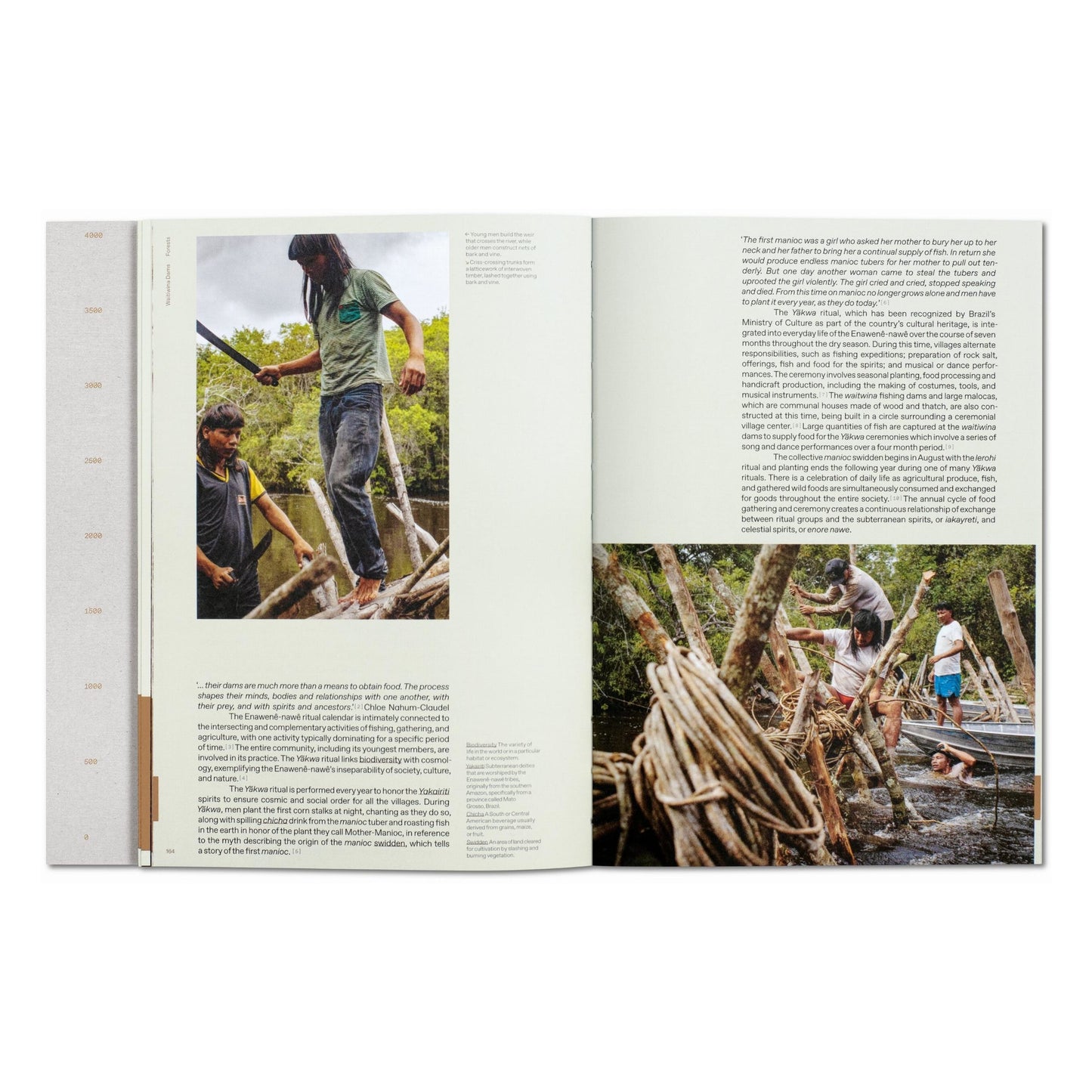 Julia Watson. Lo—TEK. Design by Radical Indigenism (English) Book