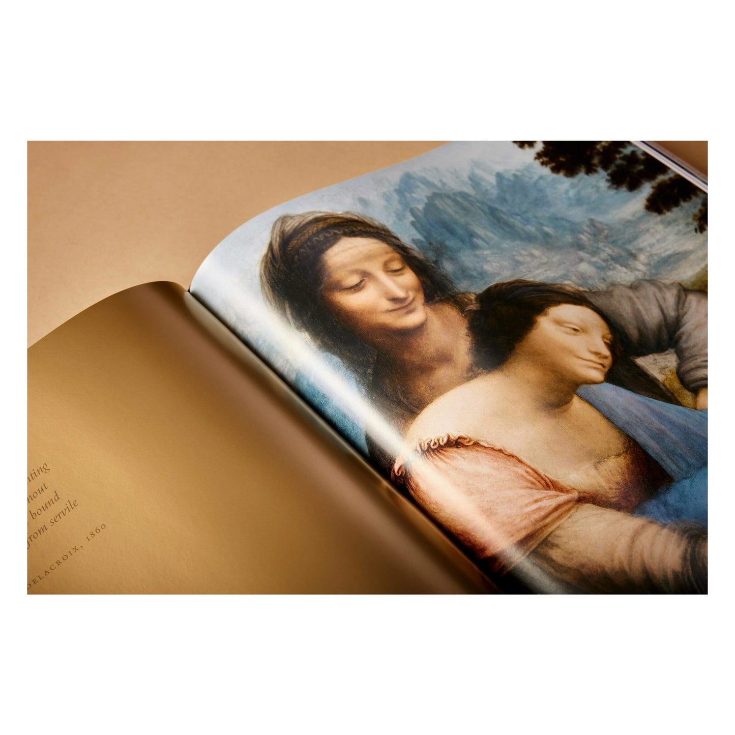 Leonardo. The Complete Paintings and Drawings (English) Book