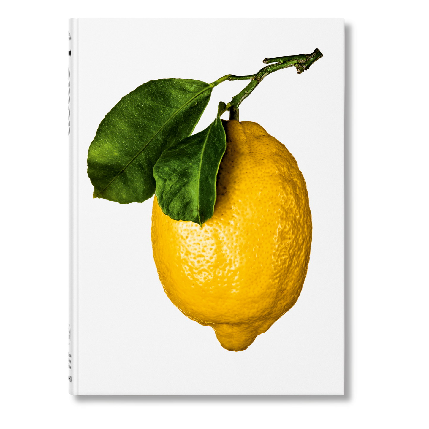 The Gourmand's Lemon. A Collection of Stories and Recipes (English) Book