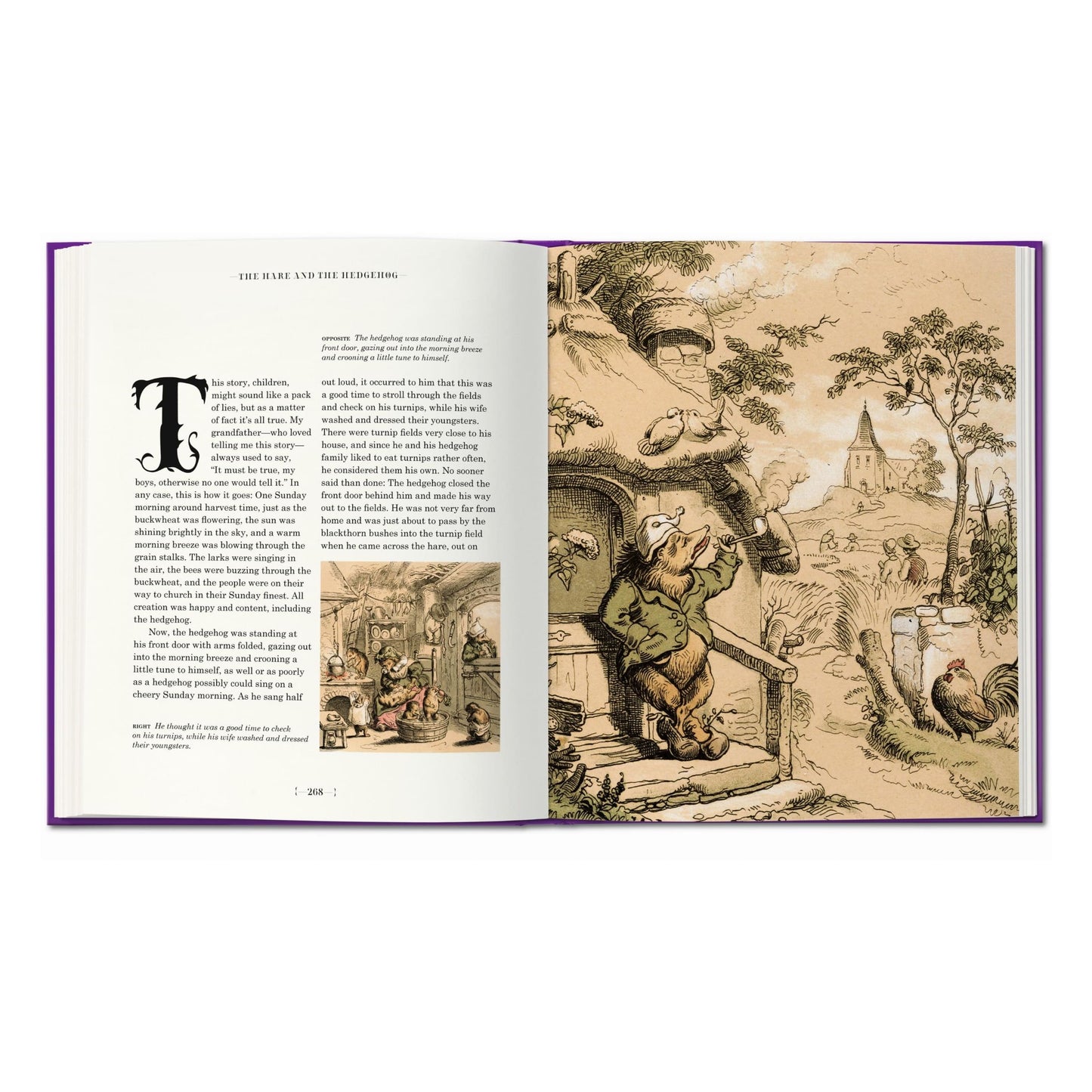 The Fairy Tales of the Brothers Grimm (English) Book