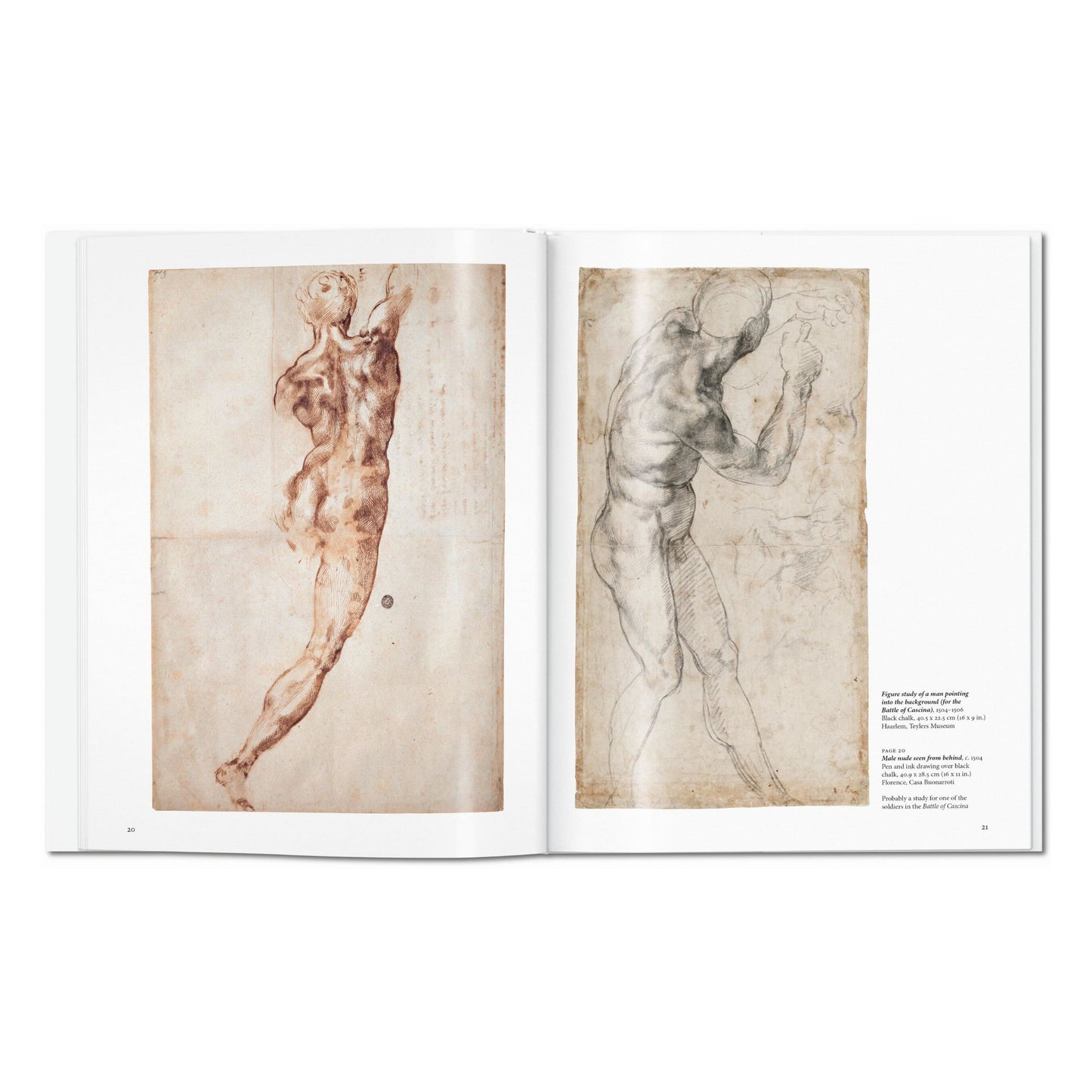 Michelangelo (English) Book