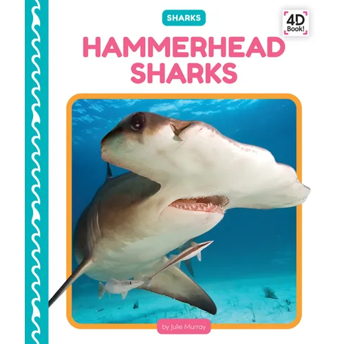 Hammerhead Sharks
