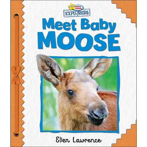Active Minds Explorers: Meet Baby Moose