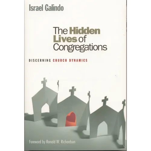 Hidden Lives of Congregations: Discerning Church Dynamics