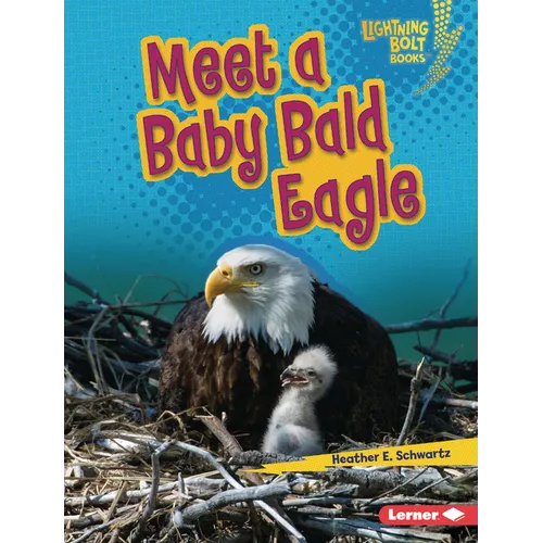 Meet a Baby Bald Eagle