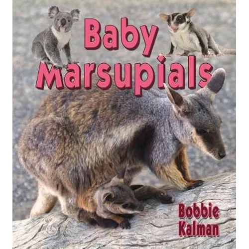 Baby Marsupials