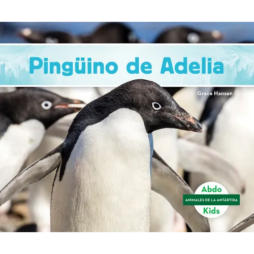 Pinguino de Adelia (Adelie Penguin)