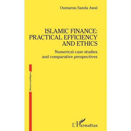 Islamic finance: practical efficiency and ethics: Numerical case studies and comparative perspectives