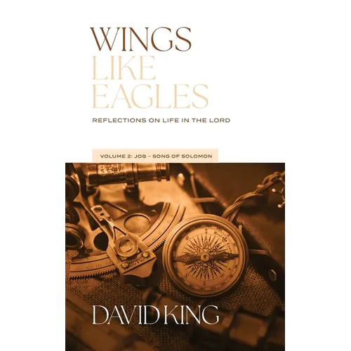 Wings Like Eagles Vol. 2: Vol. 2: Reflections on Life in the Lord - Volume 2