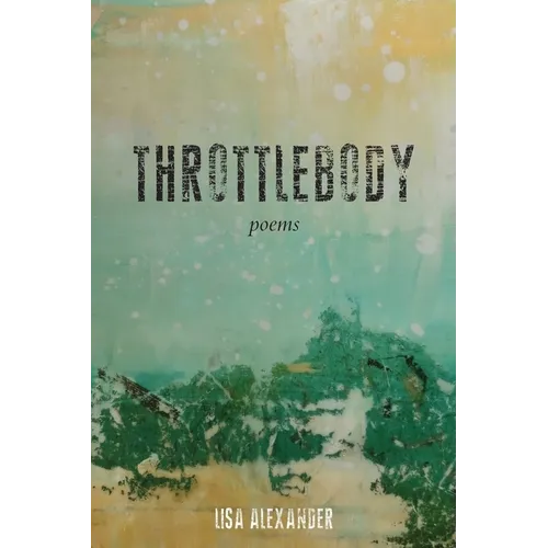 Throttlebody