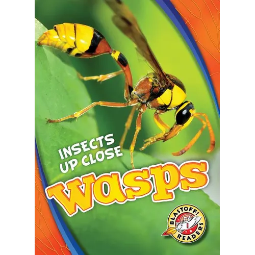 Wasps