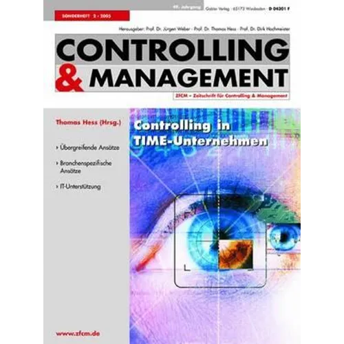 Controlling in Time-Unternehmen