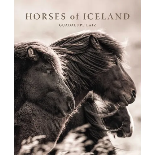 Horses of Iceland