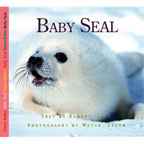 Baby Seal