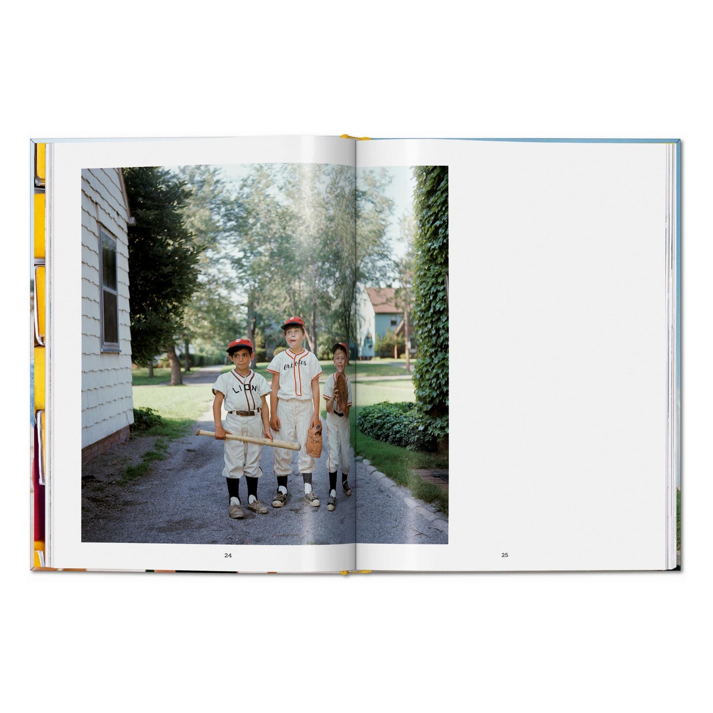 Midcentury Memories. The Anonymous Project (English) Book