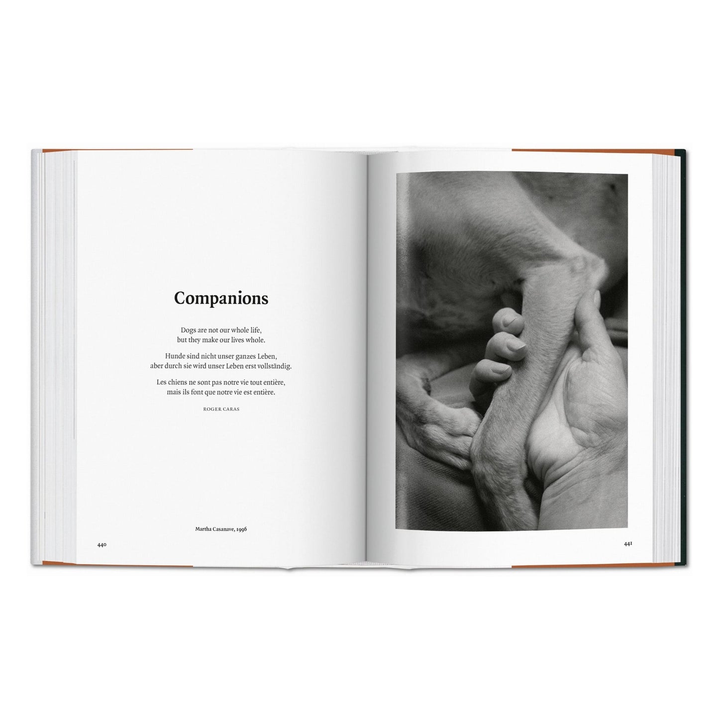 The Dog in Photography 1839–Today (German, French, English) Book