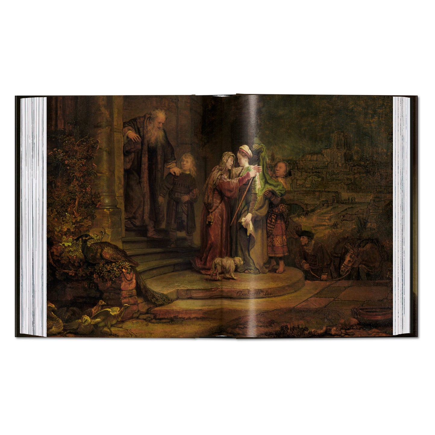 Rembrandt. The Paintings. 45th Ed. (English) Book