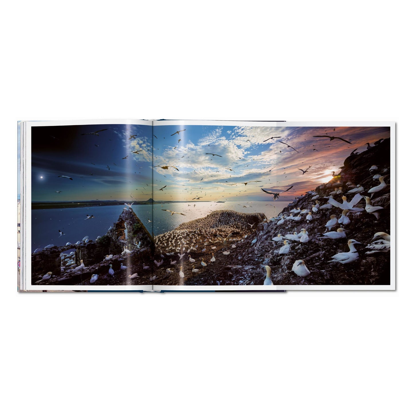 Stephen Wilkes. Day to Night (German, French, English) Book