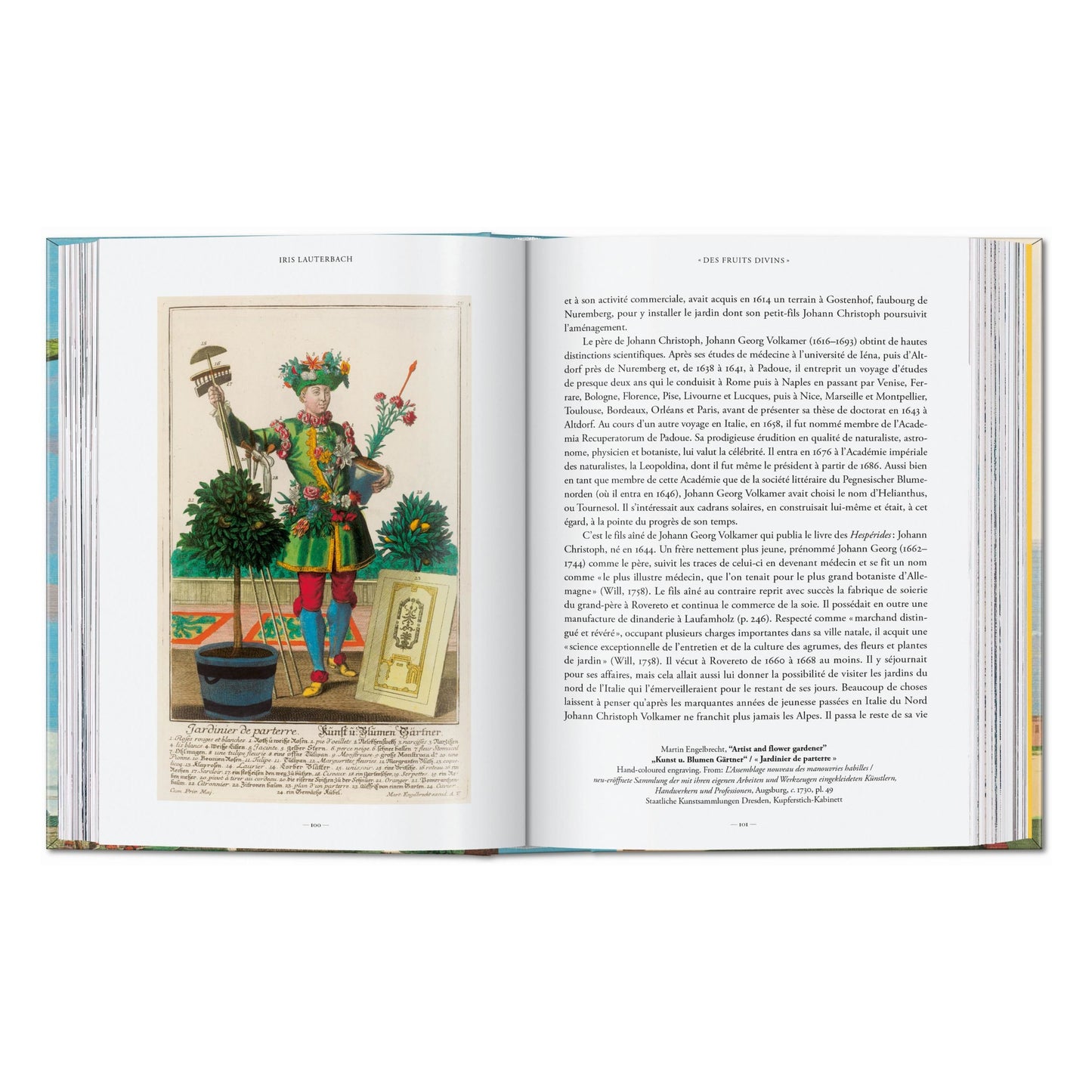J. C. Volkamer. The Book of Citrus Fruits. 45th Ed. (German, French, English) Book