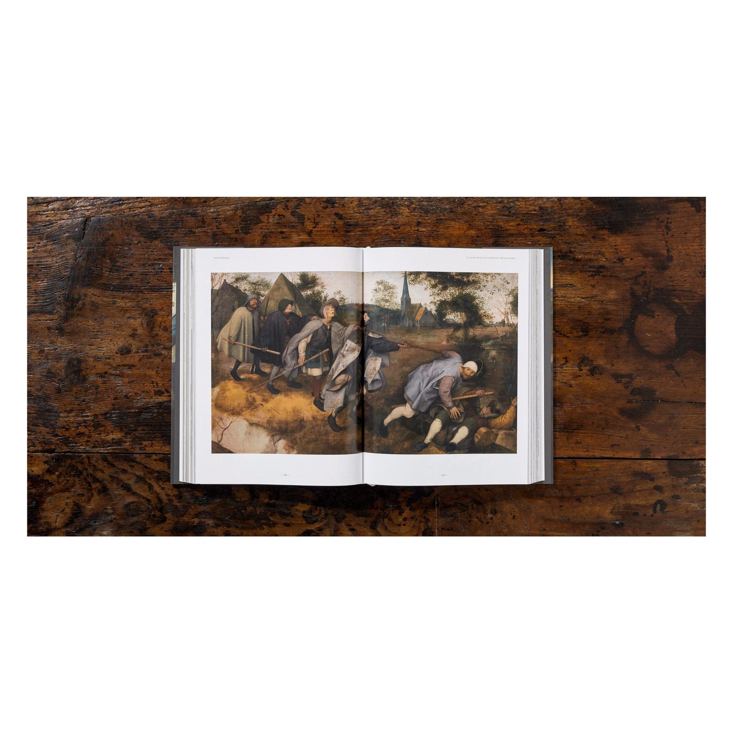 Bruegel. The Complete Works (English) Book