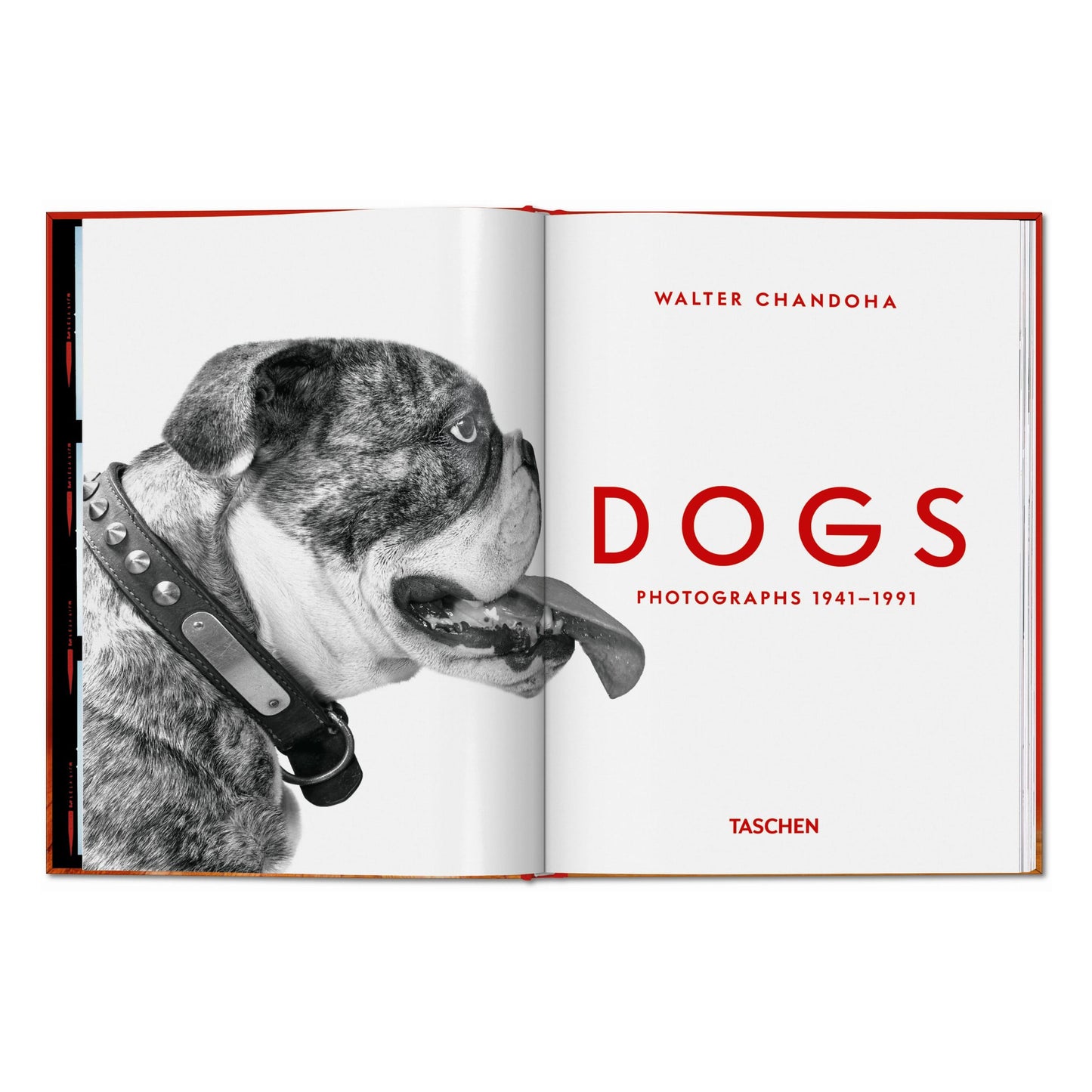 Walter Chandoha. Dogs. Photographs 1941–1991 (English) Book