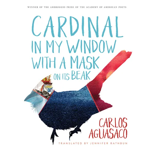 Cardinal in My Window with a Mask on Its Beak