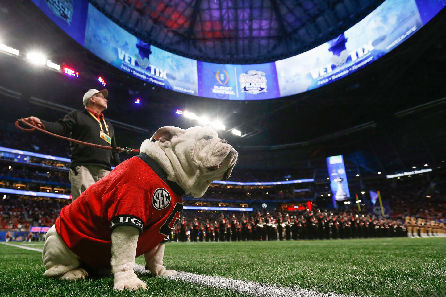 Glorious: Georgia Secures Its Second Consecutive National Title with a Perfect Season Book