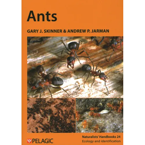 Ants