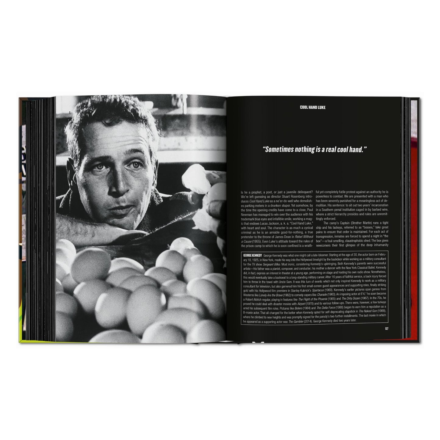 100 Movies of the 1960s (English) Book