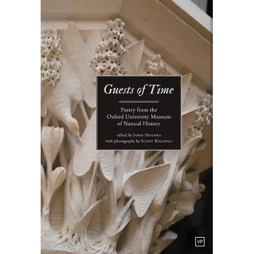 Guests Of Time
