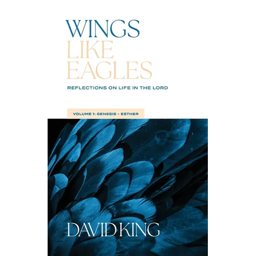 Wings Like Eagles Vol 1