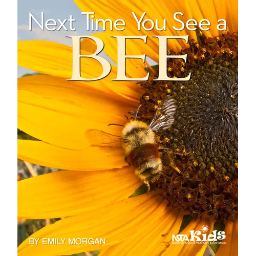 Next Time You See a Bee