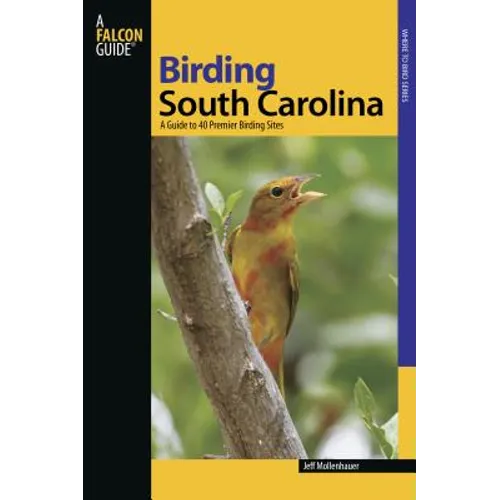 Birding South Carolina