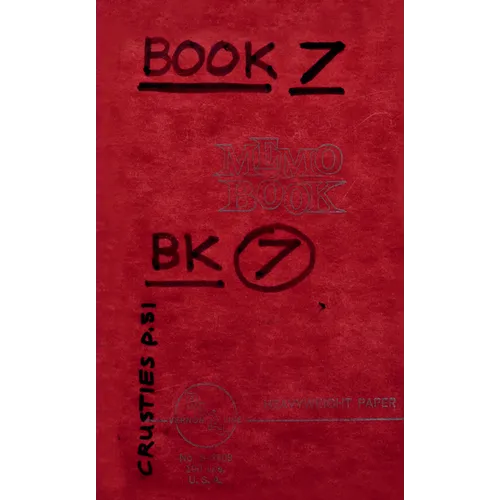 Lee Lozano: Private Book 7