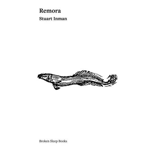 Remora