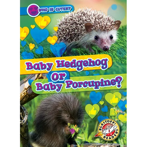 Baby Hedgehog or Baby Porcupine?