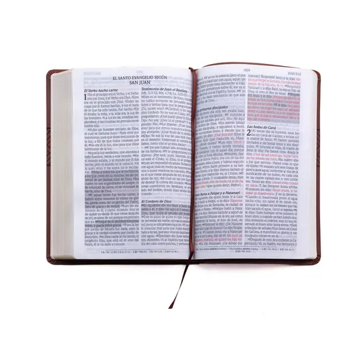 Santa Biblia de Promesas Reina Valera 1960 / Letra Gigante - 13 Puntos / Piel Especial Con Índice Y Cierre / Café // Spanish Promise Bible Rvr 1960 /