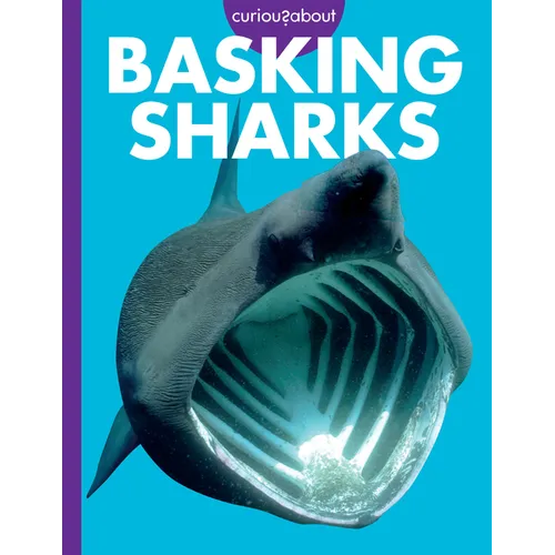 Curious about Basking Sharks