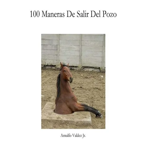 100 Maneras de Salir del Pozo: Ideas para emprender tu propio negocio