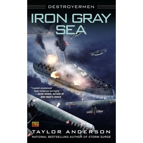 Iron Gray Sea: Destroyermen