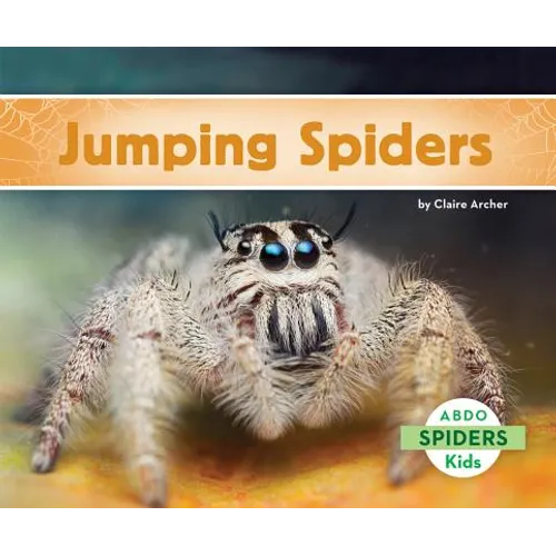 Jumping Spiders