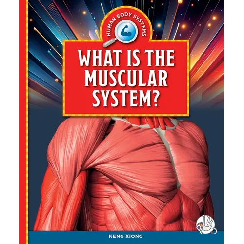 What Is the Muscular System?