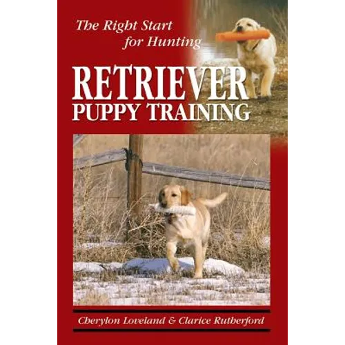 Retriever Puppy Training: The Right Start for Hunting