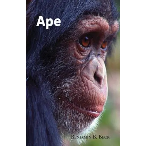 Ape