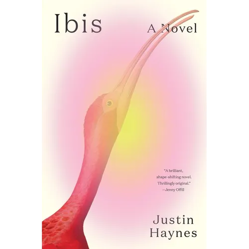 Ibis
