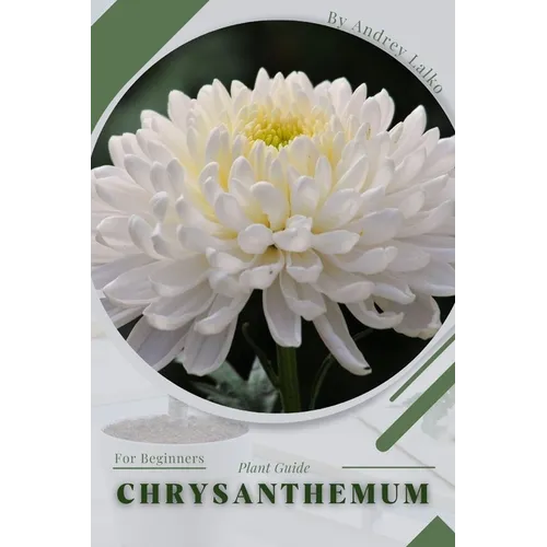 Chrysanthemum: Plant Guide