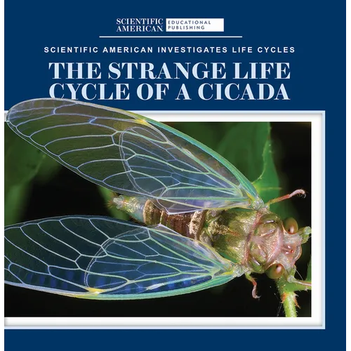 The Strange Life Cycle of a Cicada