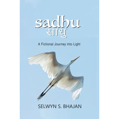 Sadhu: A Fictional Journey into Light