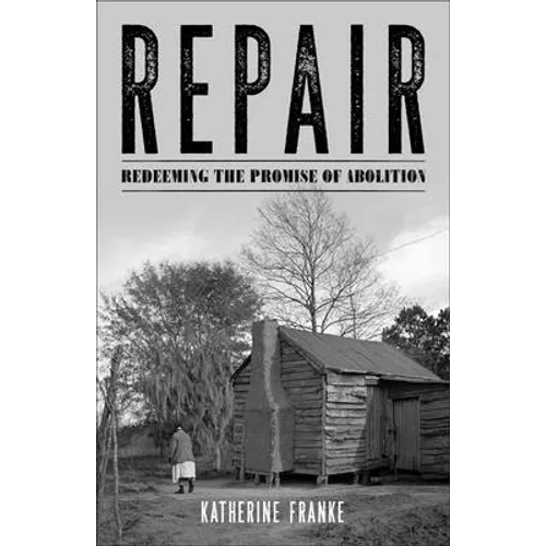 Repair: Redeeming the Promise of Abolition